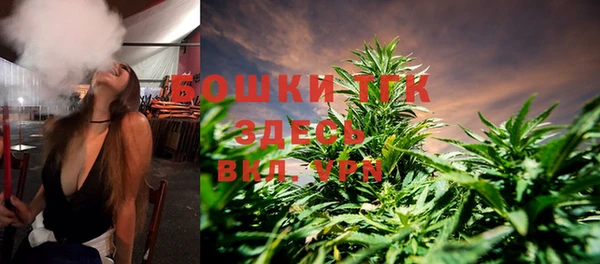 ГАЛЛЮЦИНОГЕННЫЕ ГРИБЫ Покров