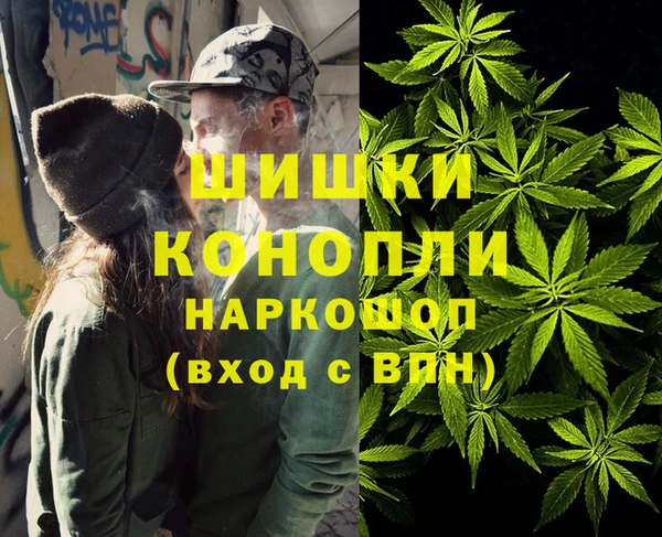 ГАЛЛЮЦИНОГЕННЫЕ ГРИБЫ Покров