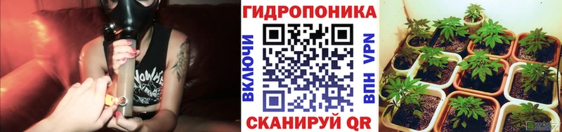 Бошки Шишки индика  Корсаков 